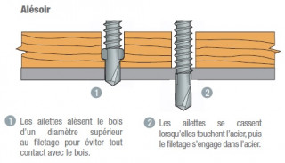 alesoir